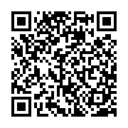 QR code for WO4541