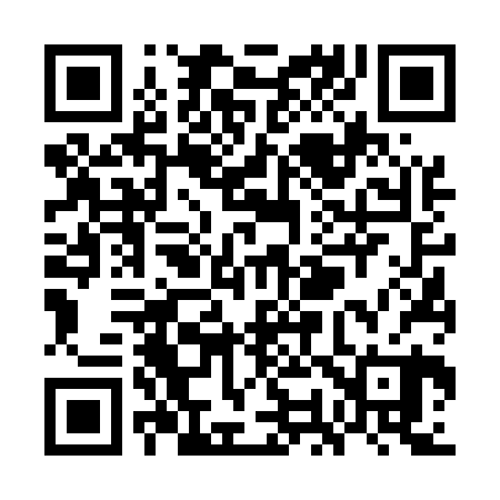 QR code for WO6520