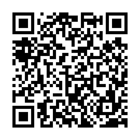QR code for WO6636