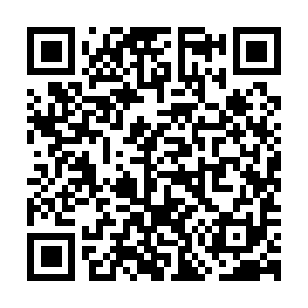 QR code for WO9191