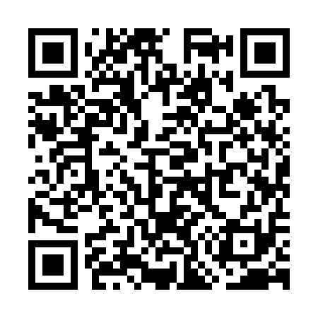 QR code for WO9311