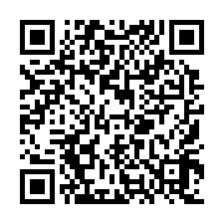 QR code for WO9318