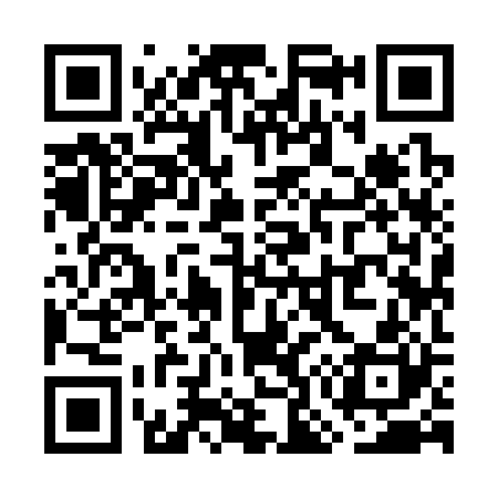 QR code for WO9320