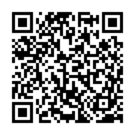 QR code for WO9363