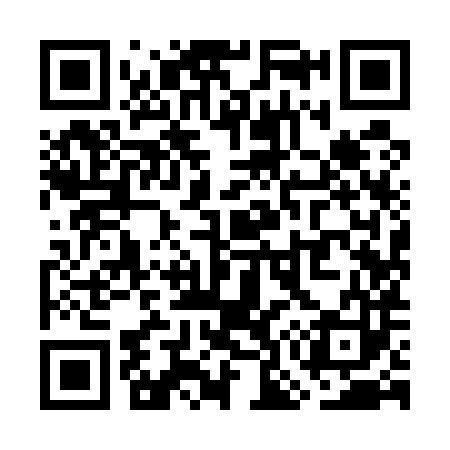 QR code for WO9583