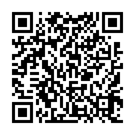 QR code for WO9618