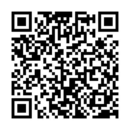 QR code for WO9921