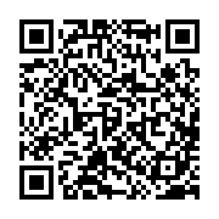 QR code for WP0381