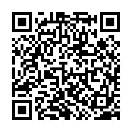 QR code for WP2133