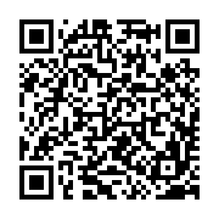 QR code for WP2296
