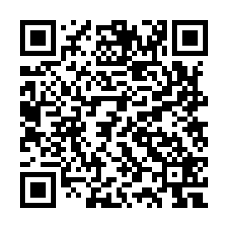 QR code for WP2929