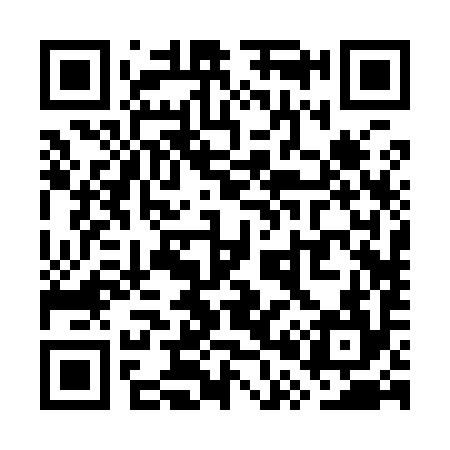 QR code for WP2994