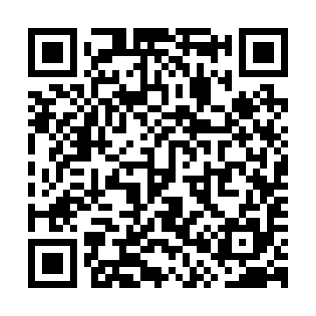 QR code for WP3295