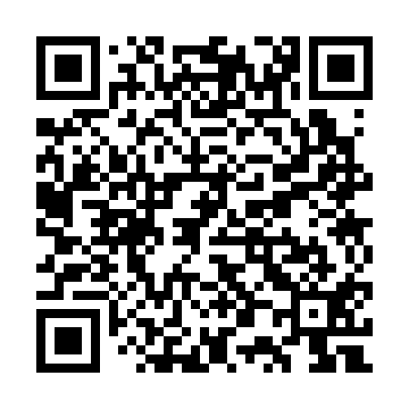 QR code for WP3311