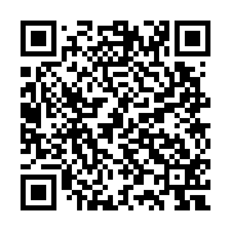 QR code for WP3713
