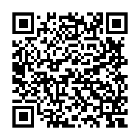 QR code for WP3896
