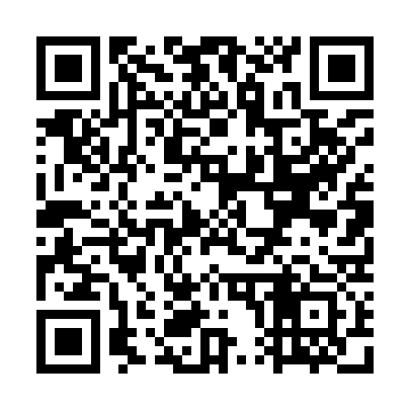 QR code for WP4933