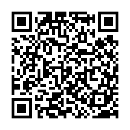 QR code for WP5641