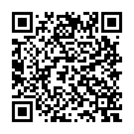 QR code for WP9156