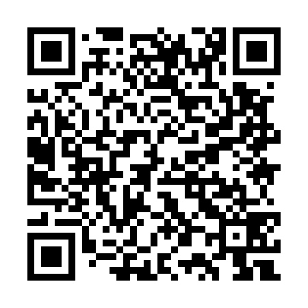 QR code for WP9579