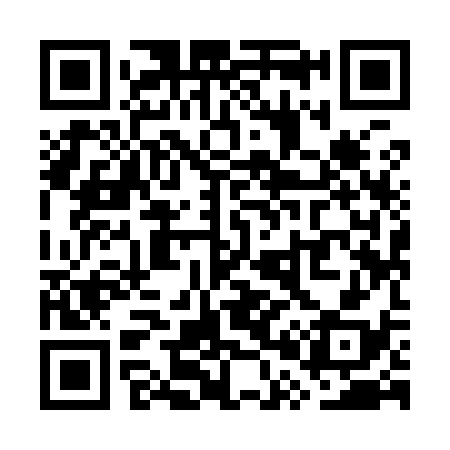 QR code for WP9938