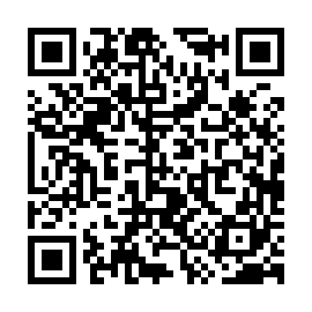 QR code for WS0960