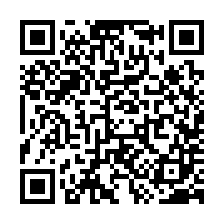 QR code for WS6383