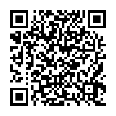 QR code for WS9166