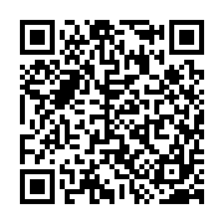 QR code for WS9317
