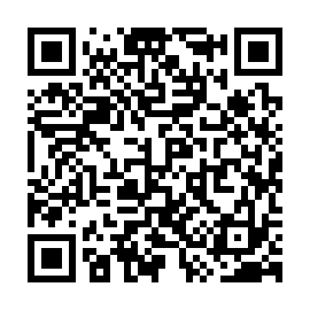 QR code for WS9333