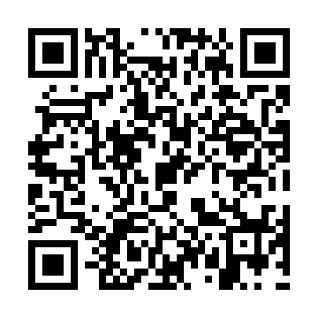 QR code for WT8738