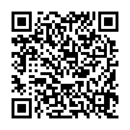QR code for WU9384