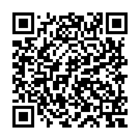 QR code for WU9993