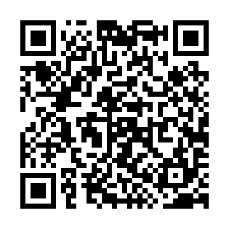 QR code for WX4294