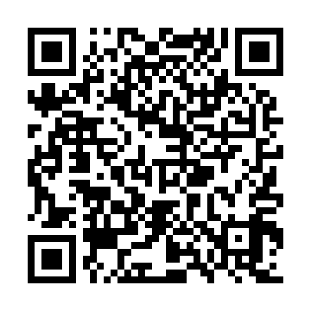 QR code for WX4919