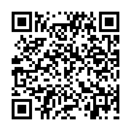 QR code for WZ9381