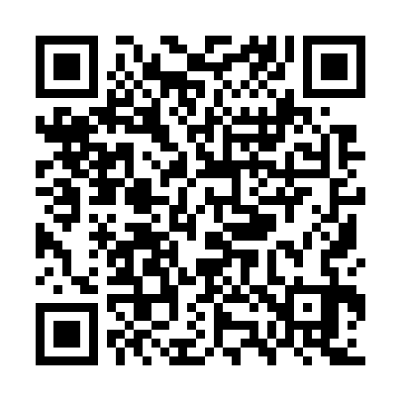 QR code for WZ9733