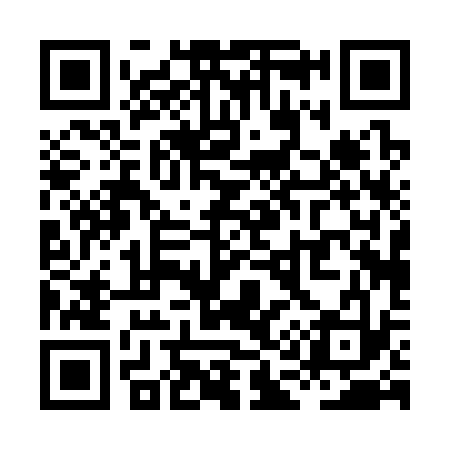 QR code for XA0333