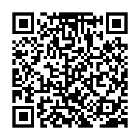 QR code for XA1239