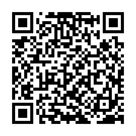 QR code for XA2333