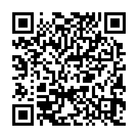 QR code for XD5333