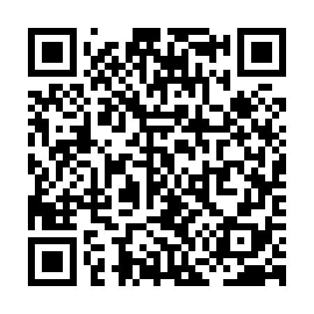 QR code for XG3878