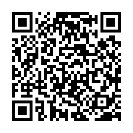 QR code for XG8738