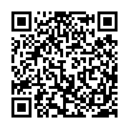 QR code for XH0617