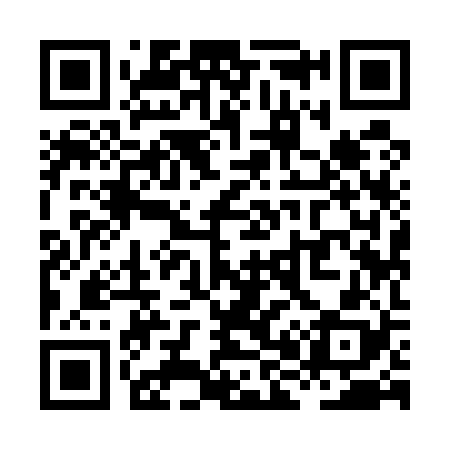QR code for XH9528