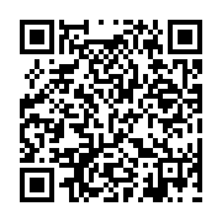 QR code for XI0346