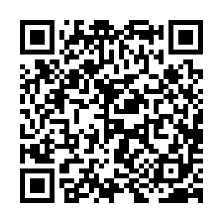 QR code for XI0390