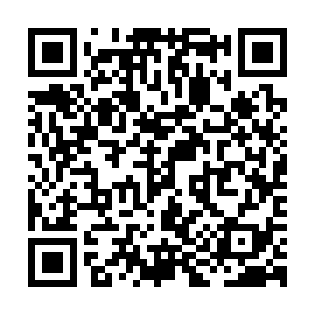 QR code for XI3339