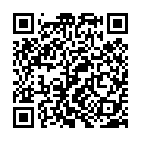 QR code for XI3419