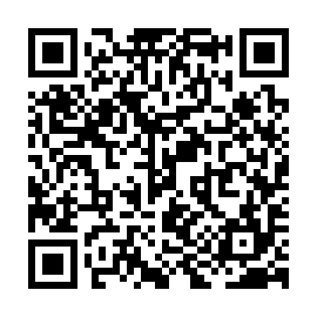 QR code for XI7394